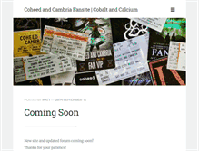 Tablet Screenshot of cobaltandcalcium.com